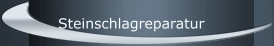 Steinschlagreparatur