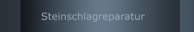 Steinschlagreparatur